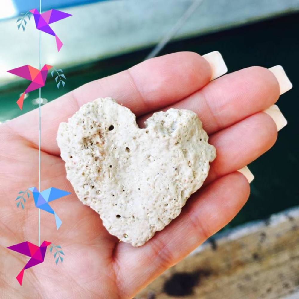 Meet your Posher, Holly